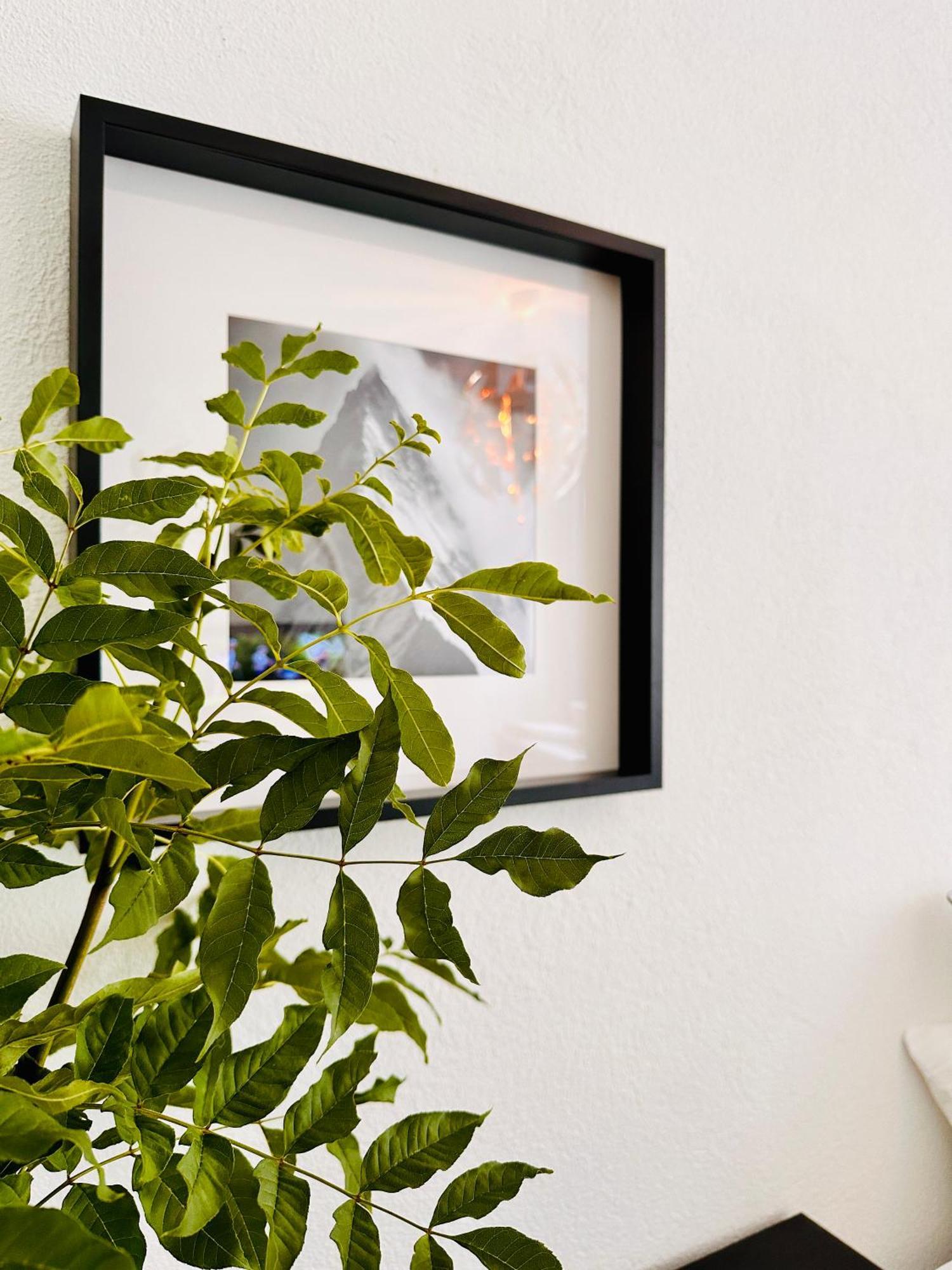 Schoene Ferienwohnung Schottwien Bagian luar foto